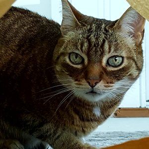 Meet your Posher, Mary